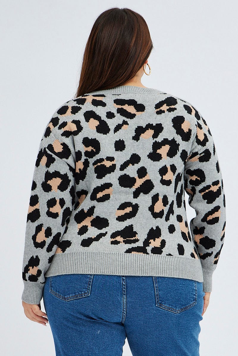 Animal Print Plus Knit - Image 5
