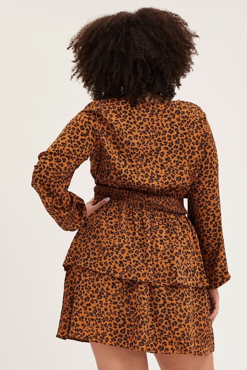 Animal Print Skater Dress V-neck Long Sleeve - Image 5