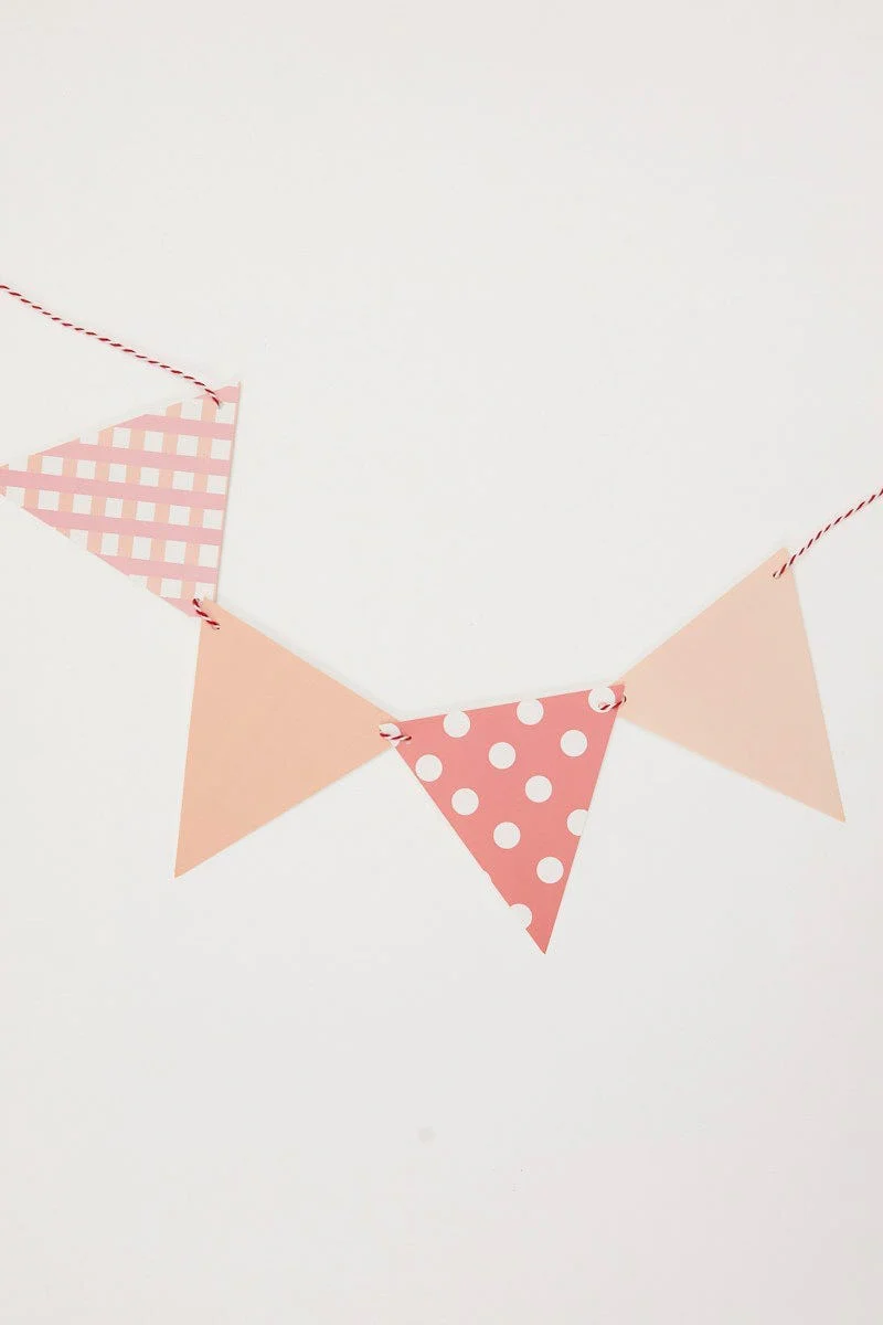 Print Plus Mixed Polka Dot And Stripe Bunting Banner - Image 3