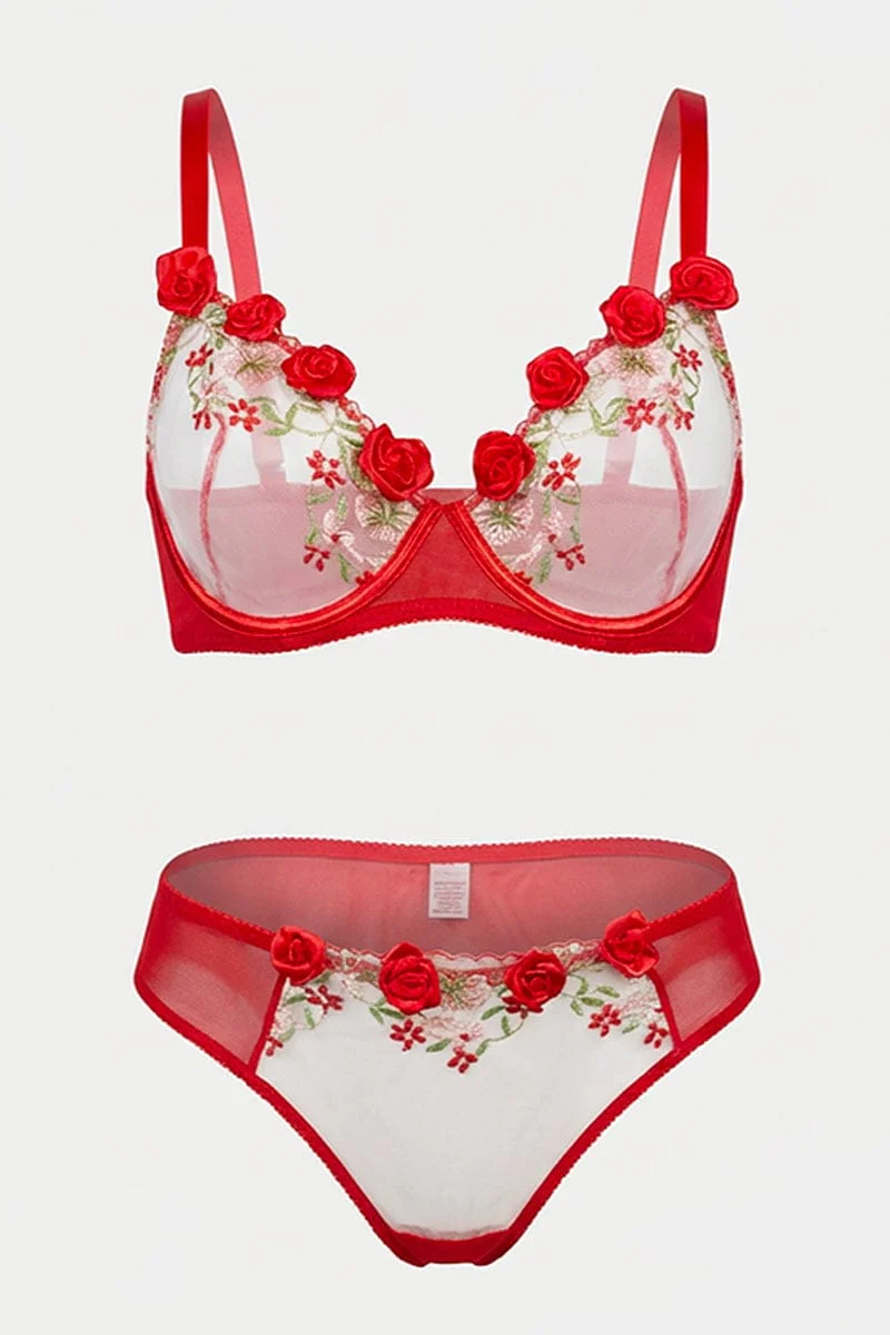 Red Embroidered Lingerie Set
